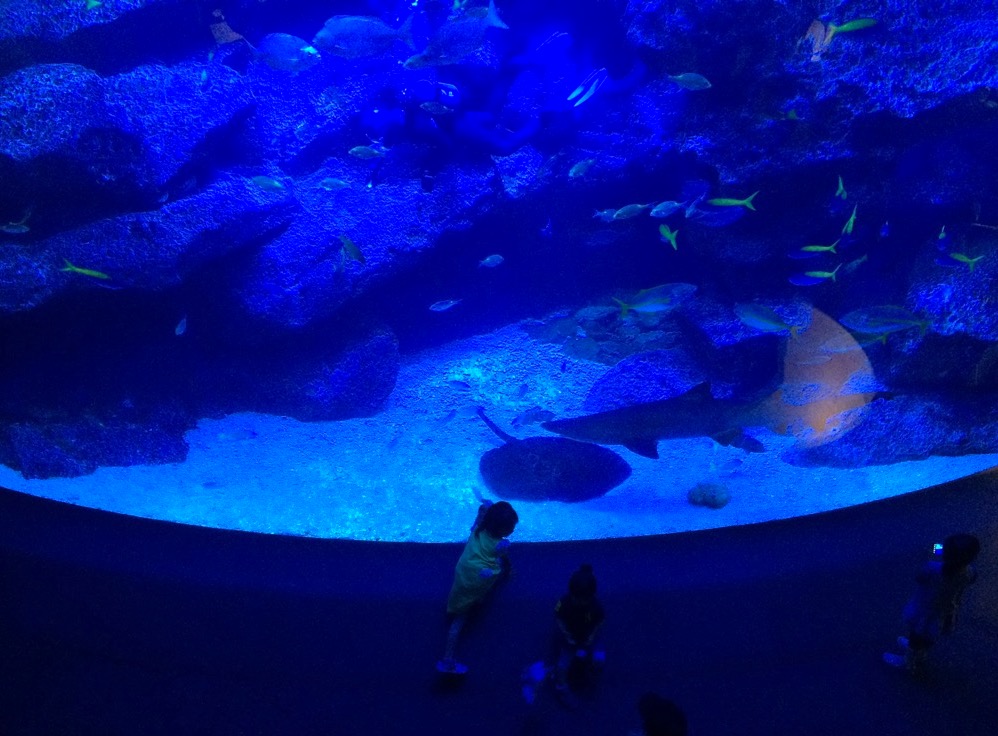 水族館