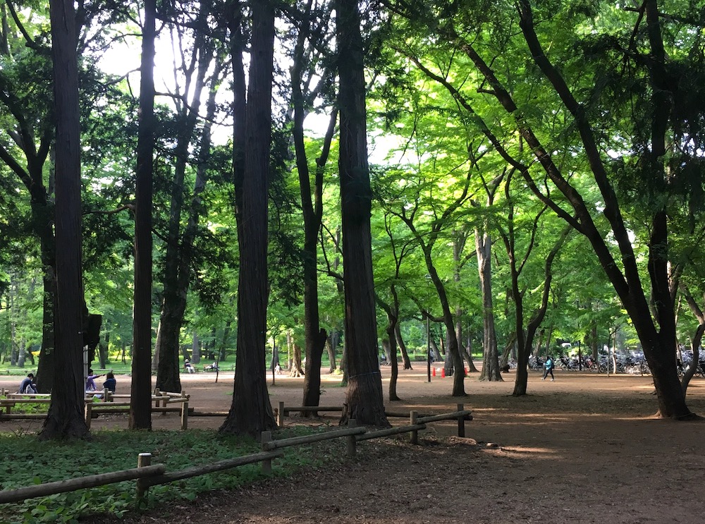  井の頭公園 