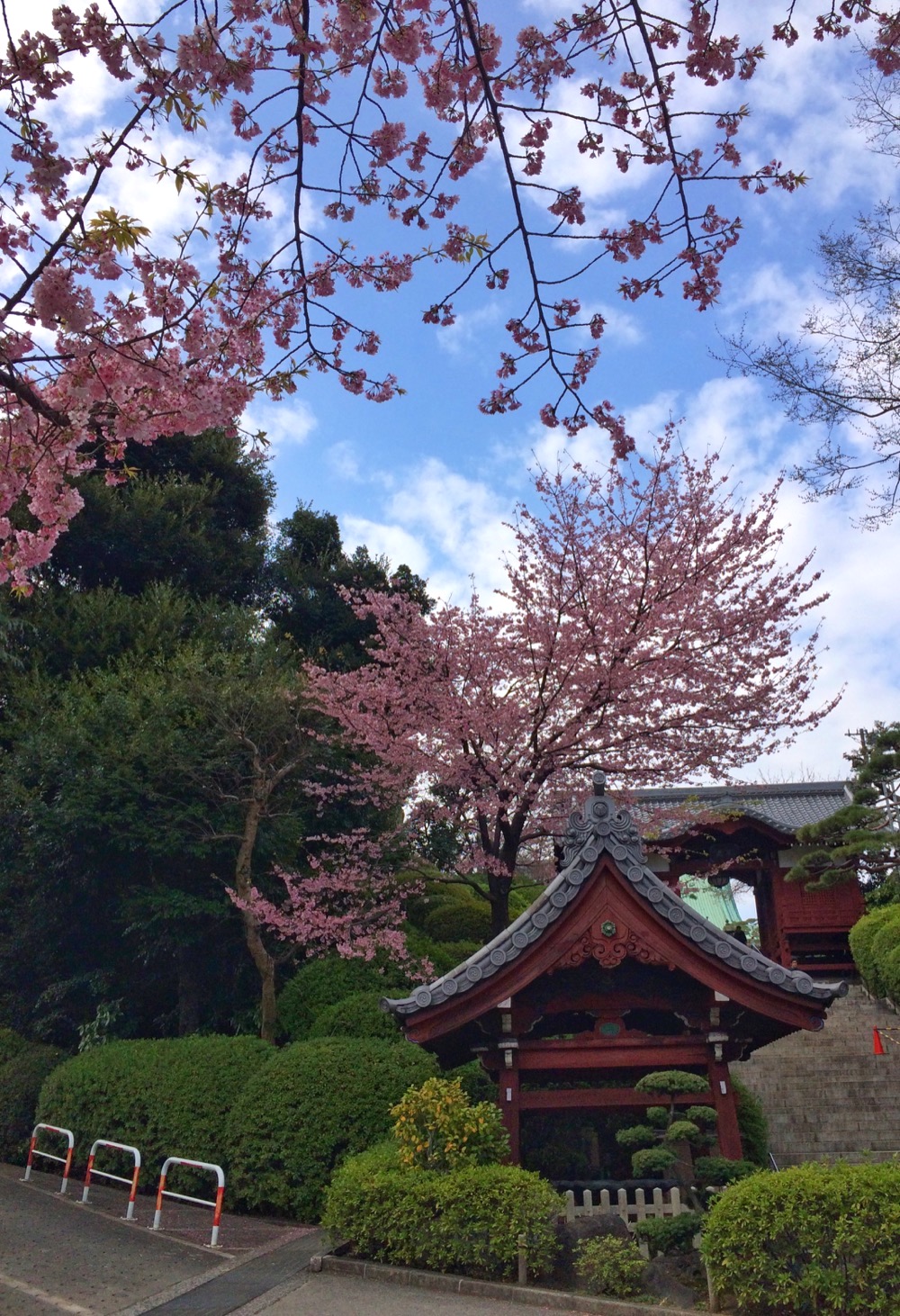 Tokyo