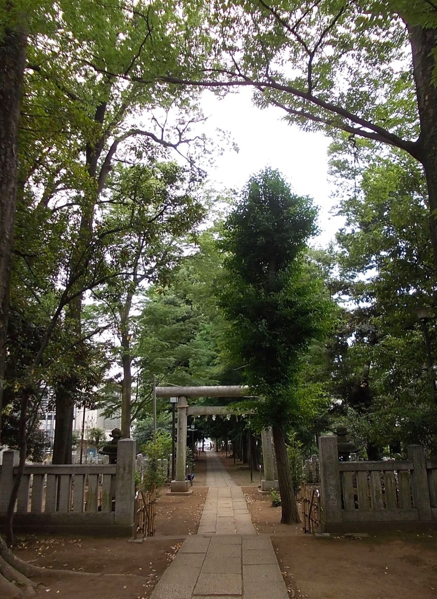 八雲氷川神社