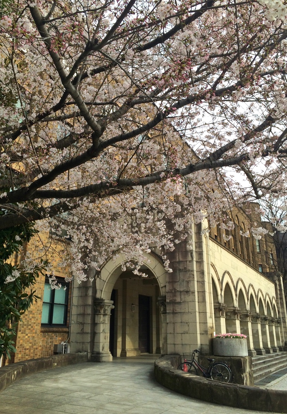 東京大学